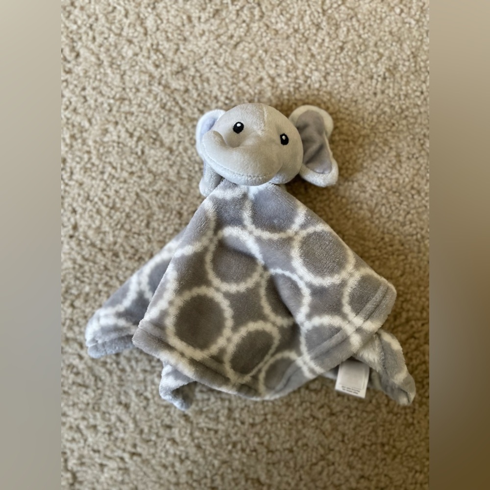 Baby teddy